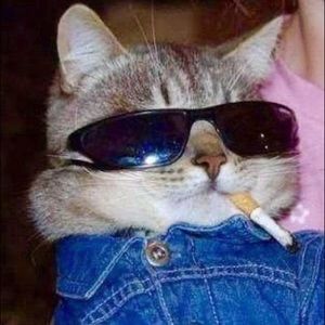 Meet your Posher, Luis